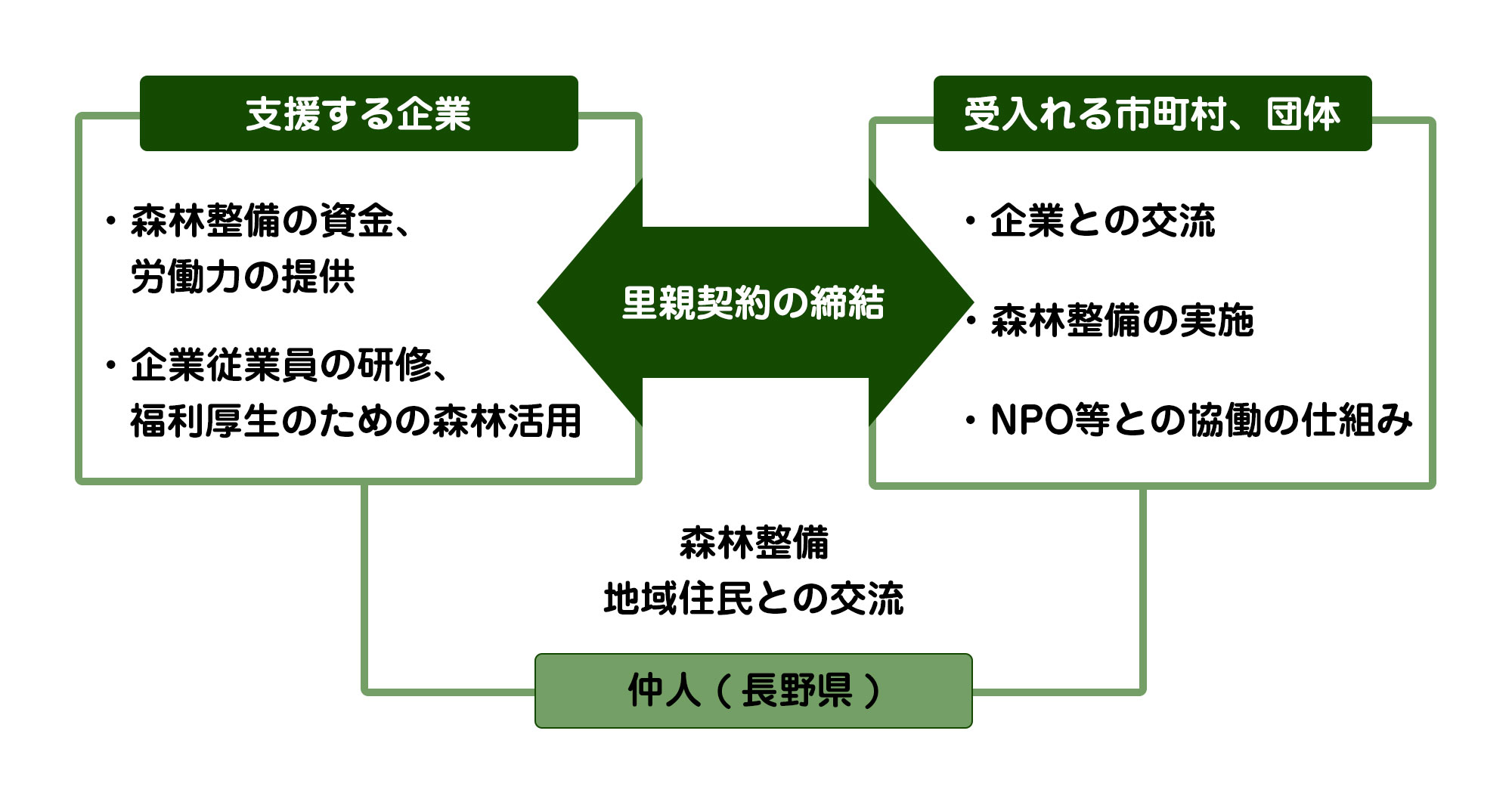 森の里親の仕組み